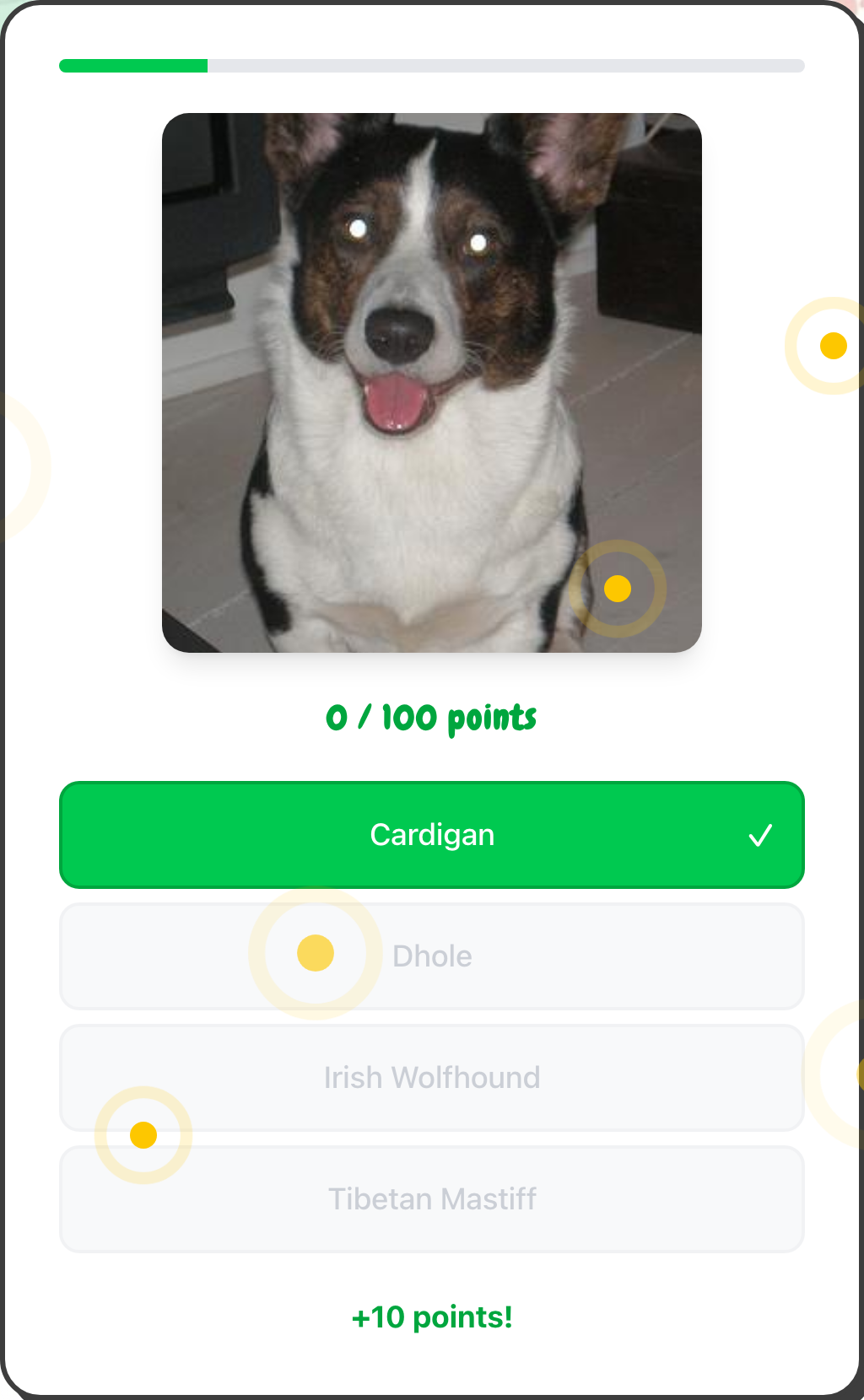 A correct breed answer highlighted green with a +10 points message and fireworks