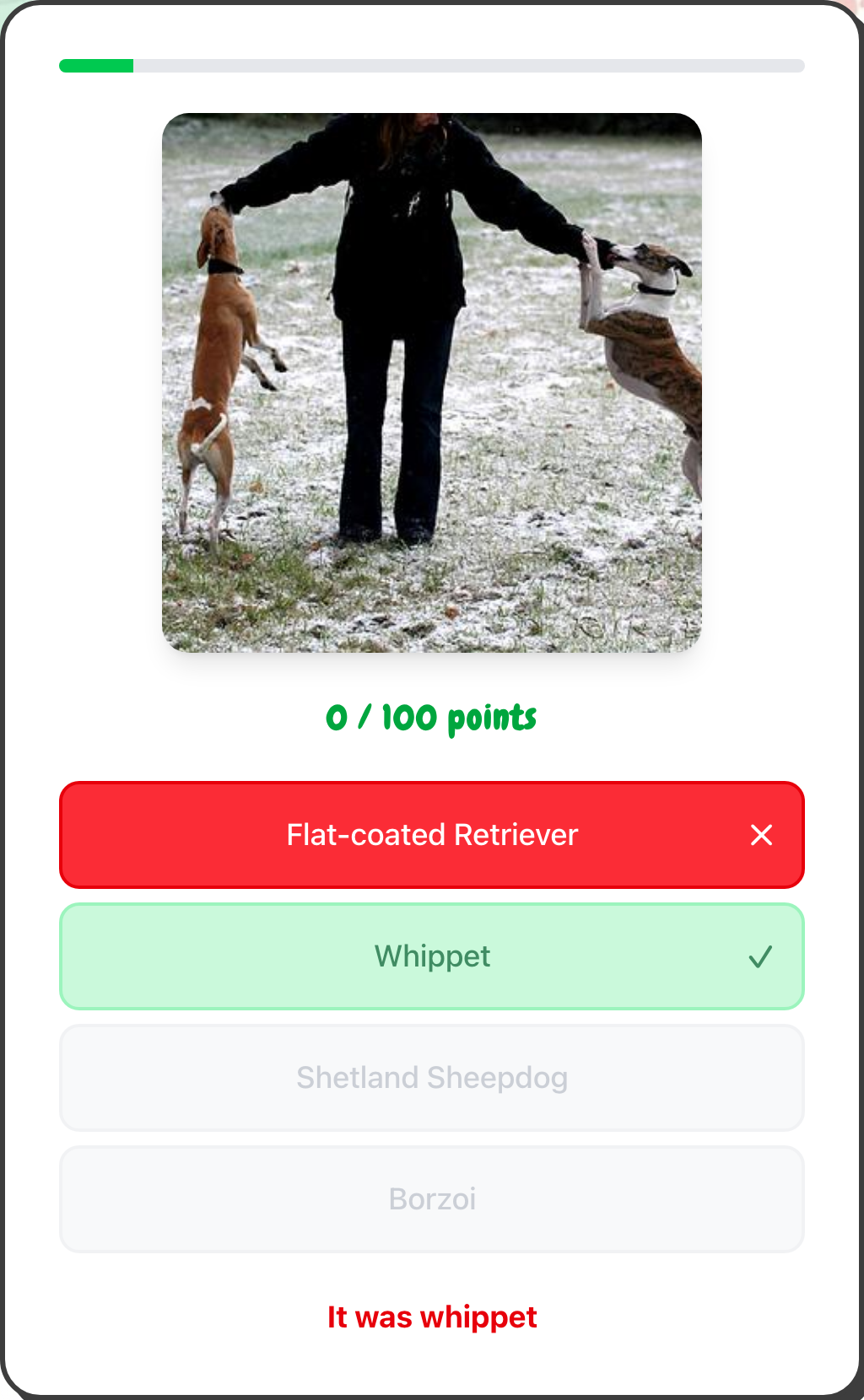 A wrong breed answer in red with the correct breed revealed in green